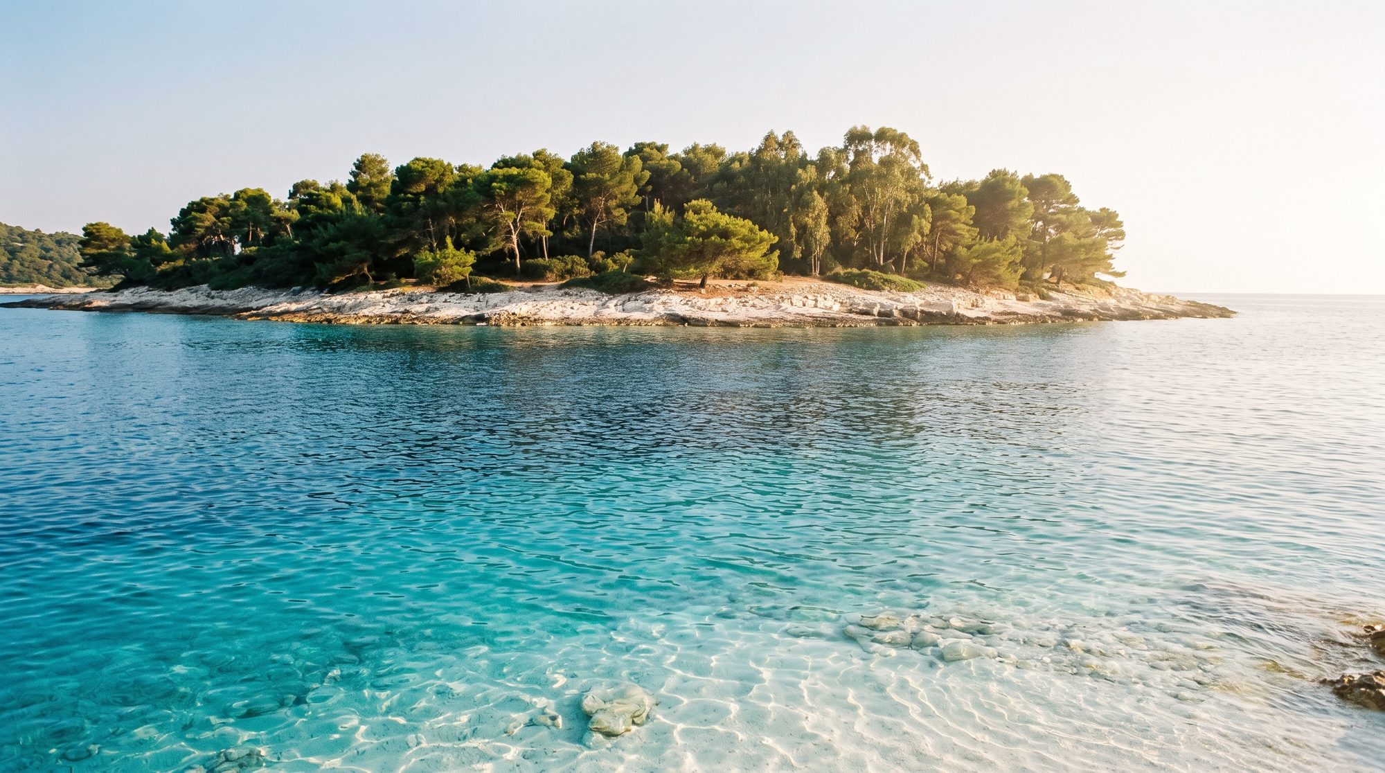 A pine-covered island off the coast with clear turquoise shallows over pale sand